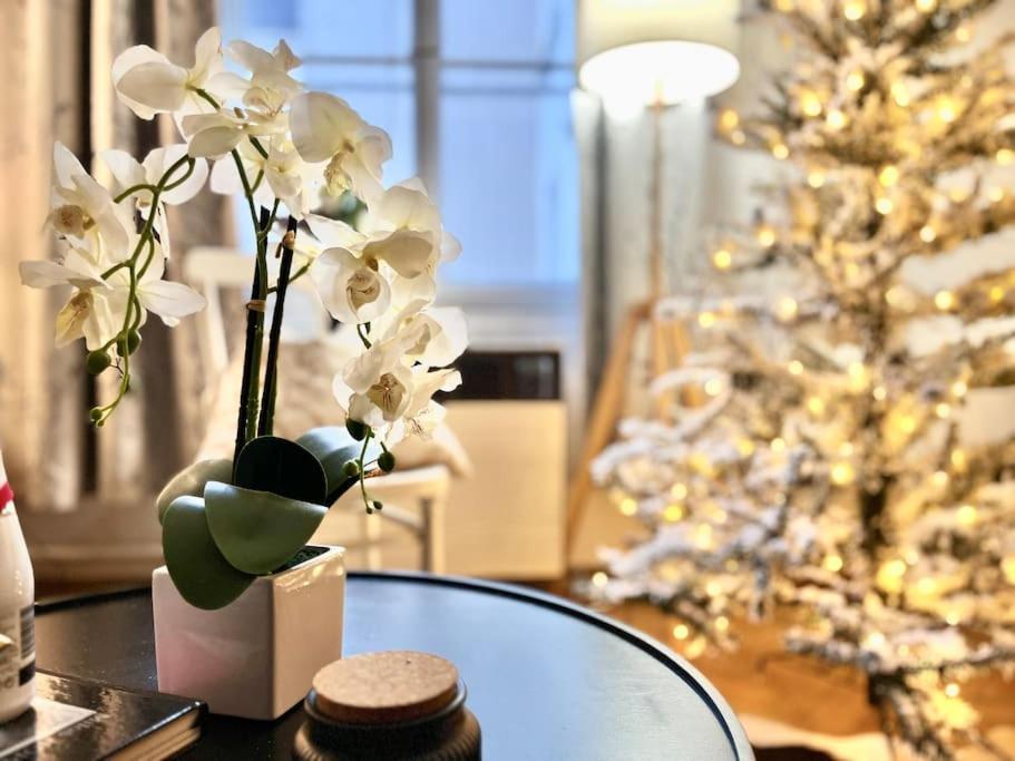 Apartmán Wenceslas - *